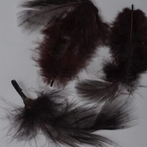 Federn f&uuml;r Nailartmotive- 3 St&uuml;ck/T&uuml;te schwarz/braun