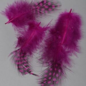 Federn f&uuml;r Nailartmotive 3-St&uuml;ck/T&uuml;te - schwarz/pink